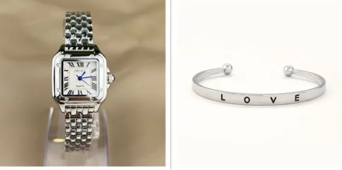 Elegant Steel Roman Scale Watch