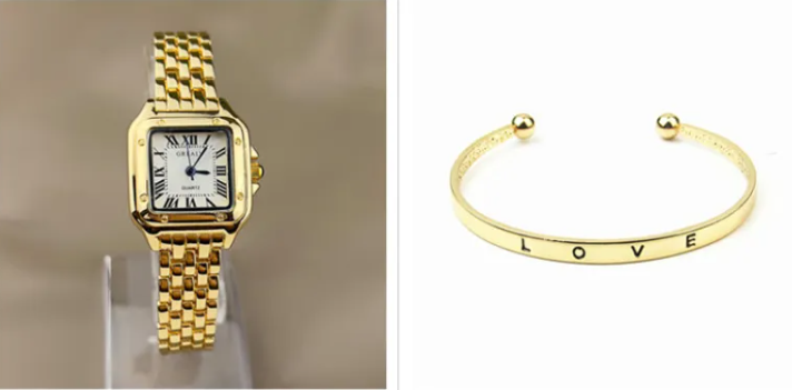 Elegant Steel Roman Scale Watch